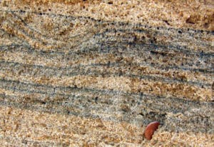 A mineral sand aka “placer” deposit for zircon, titanium and by-product REE minerals