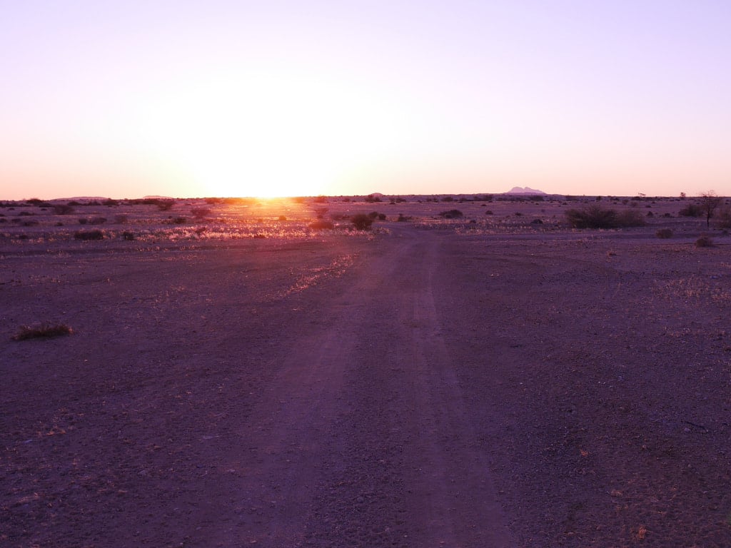 E-Tech Resources Inc. Appoints Professor Frances Wall as a Director - E-Tech Resources - REE - Website Blog (1)