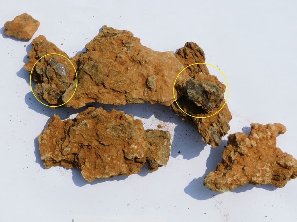 E-Tech Resources Inc. Announces High-Grade Rare Earth Results From Ongoing Prospecting Program on Eureka Ree Project.