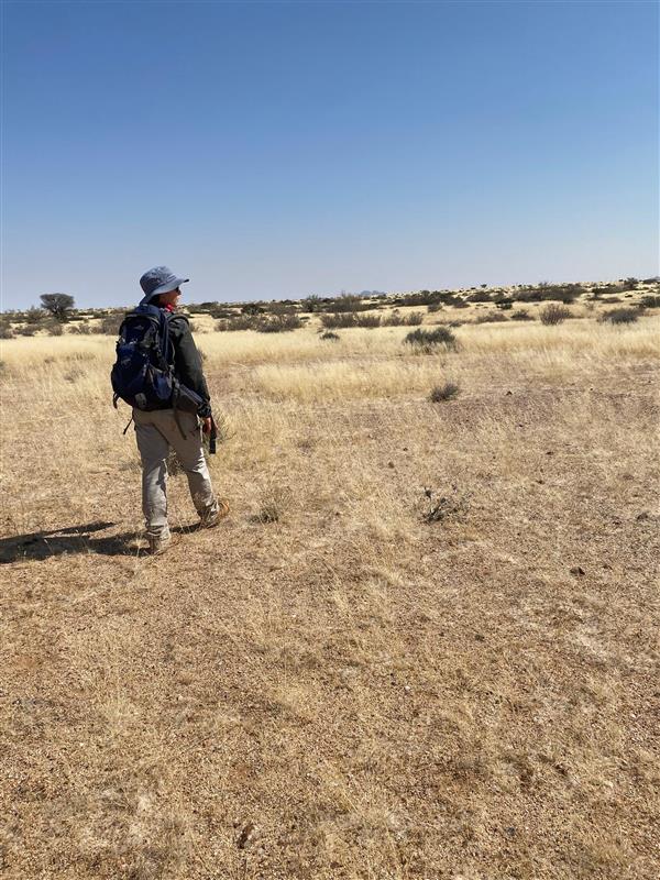 Reexploration Identifies Large Magnetic Features Indicating Potential for Larger Rare Earth System at the Eureka Project, Namibia