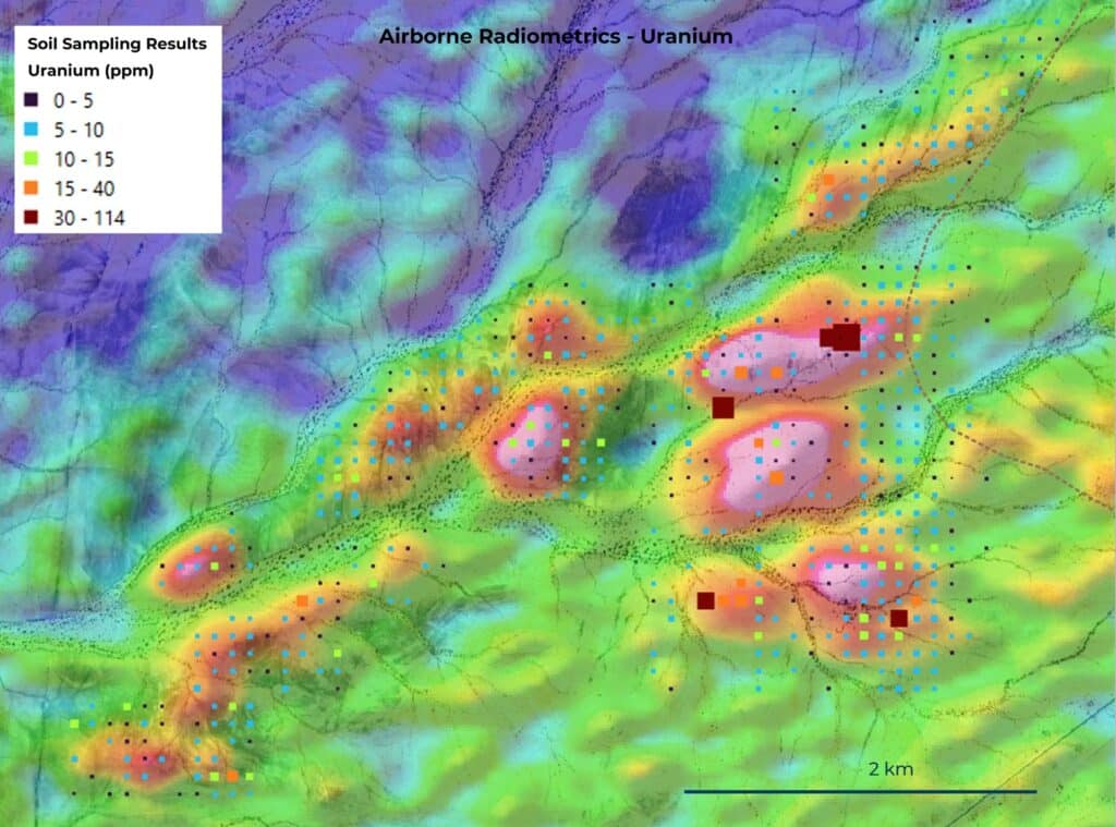 Field Program Results Confirming Large-Scale Uranium Target - ReeXploration