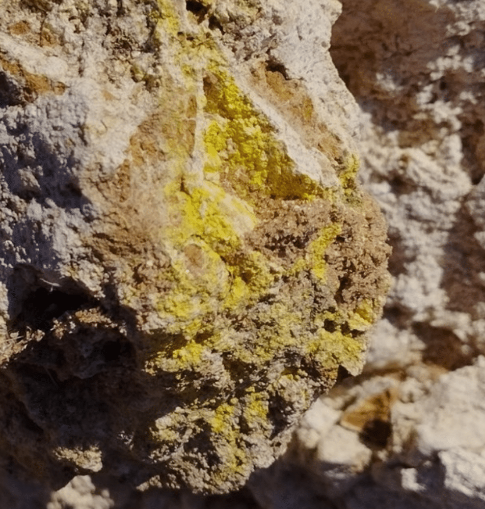 ReeXploration Intersects Widespread Bedrock Radioactivity in Maiden Uranium Drilling Program at Eureka Project, Namibia